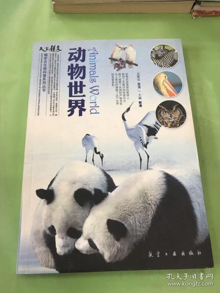 动物世界