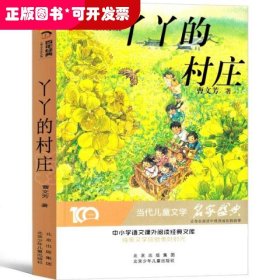 百年经典：丫丫的村庄