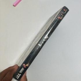 大型电视连续剧 雾里看花