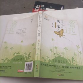 风筝：美冠纯美阅读书系