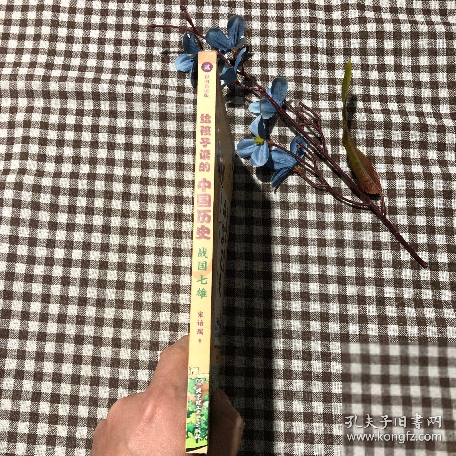 给孩子读的中国历史：战国七雄（一本真正为孩子写的趣味历史，让读历史就像看电影）