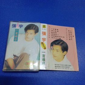 磁带 张宇 一言难尽