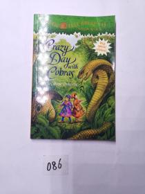 Magic Tree House #45：A Crazy Day with Cobras 神奇树屋45：眼镜蛇大冒险 ISBN9780375867958