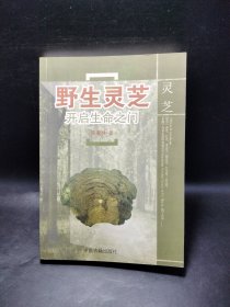 野生灵芝探秘与应用