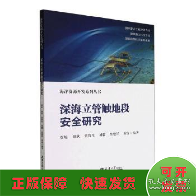 深海立管触地段安全研究