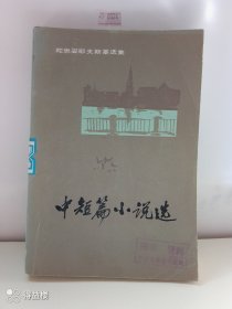 中短篇小说选