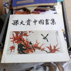 孙大贵中国画集