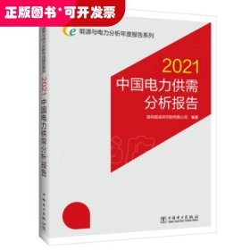 能源与电力分析年度报告系列