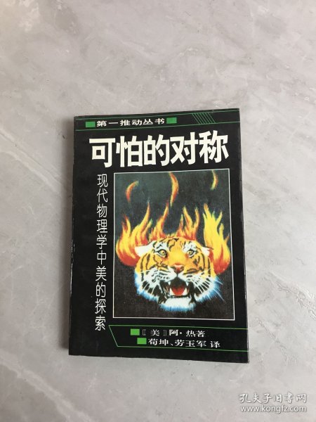 可怕的对称：现代物理学中美的探索