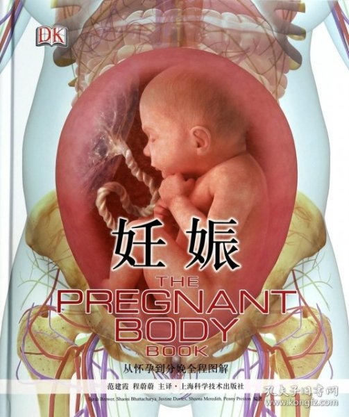 妊娠(从怀孕到分娩全程图解)(精)