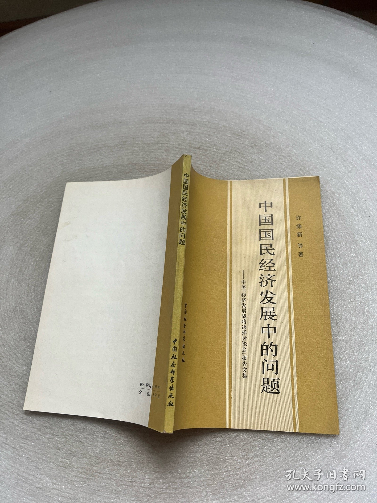 中国国民经济发展中的问题