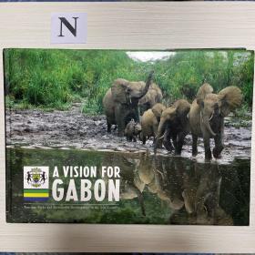 A VISION FOR GABON