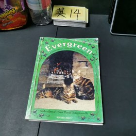 英文原版Evergreen2002/3常青樹