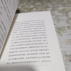 不剩一根鱼刺（与马尔克斯齐名的巴西国宝级文学大师经典美食悬疑小说，入选纽约公共图书馆最好的25本书之一）