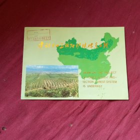 建設(shè)中的三北防護(hù)林系統(tǒng)工程
