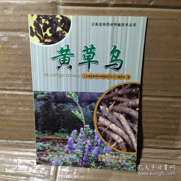 云南名特药材种植技术丛书：黄草乌