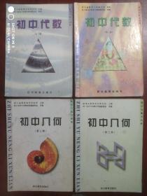 初中  数学,初中 代数 第二，三册，几何 第二，三册，知识与能力训练，共4本，初中数学辅导，有答案