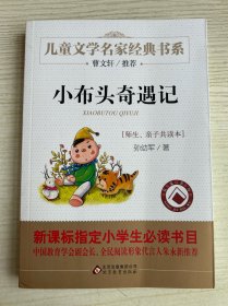 小布头奇遇记/曹文轩推荐儿童文学经典书系