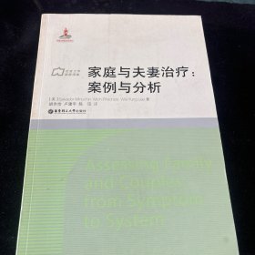 社會工作流派譯庫·家庭與夫妻治療：案例與分析