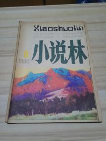 小说林1984年第6期