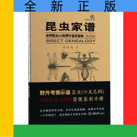 昆虫家谱(世界昆虫410科野外鉴别指南便携版)(精)/好奇心书系
