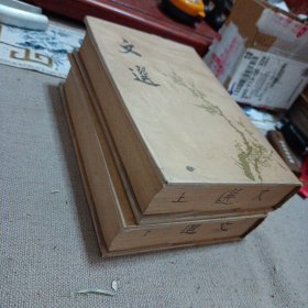 文选（全二册）