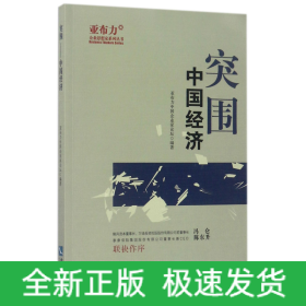 突围(中国经济)/亚布力企业思想家系列丛书
