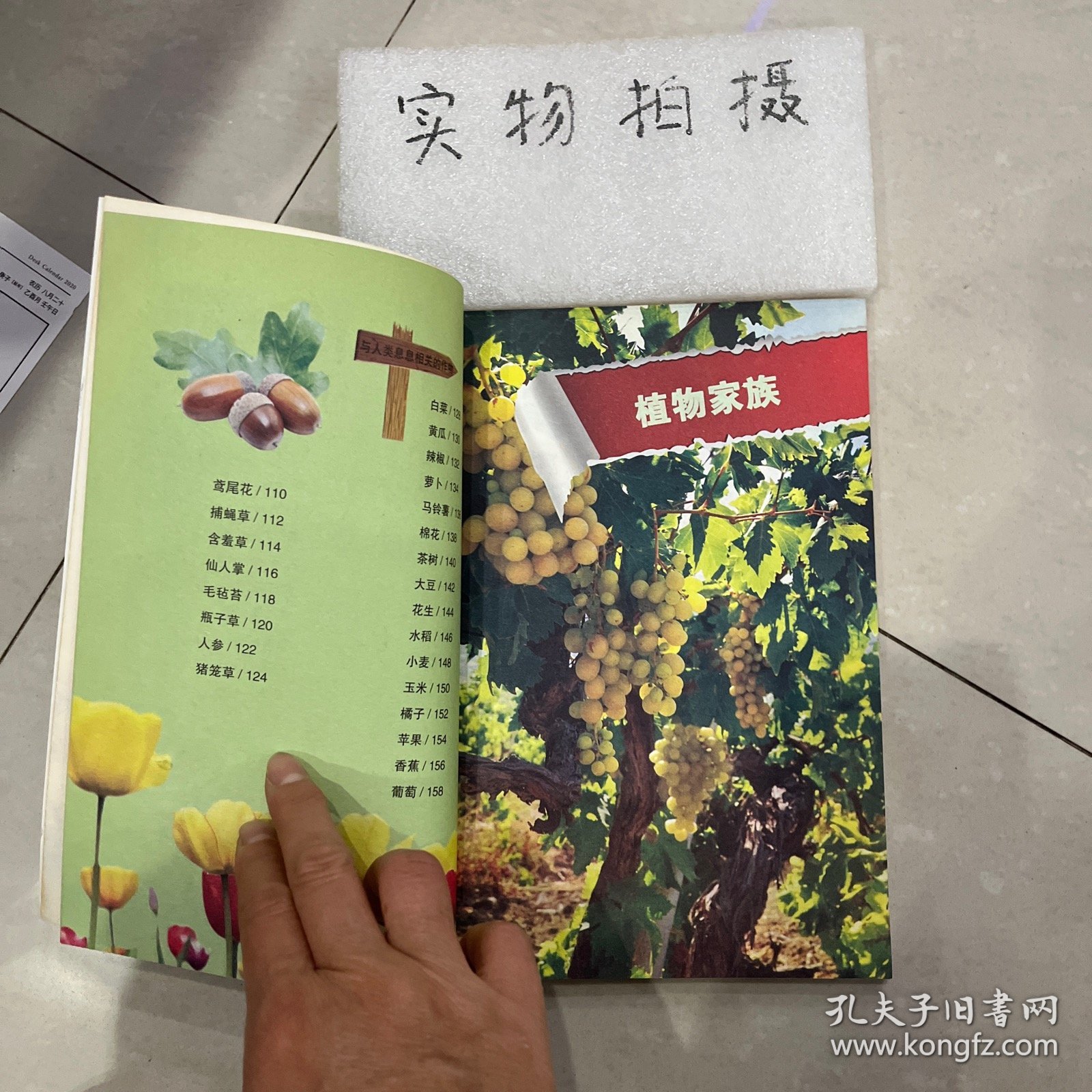 我的第一套百科全书（3170231Q00）植物乐园