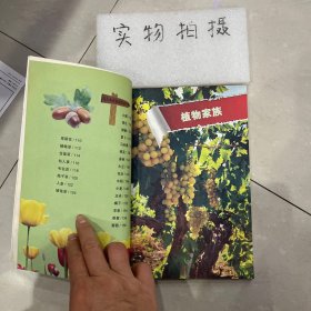 我的第一套百科全书（3170231Q00）植物乐园