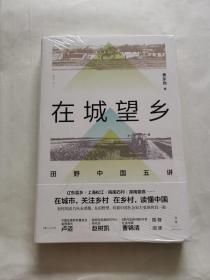 在城望乡:田野中国五讲