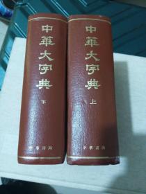 中华大字典(上下册)