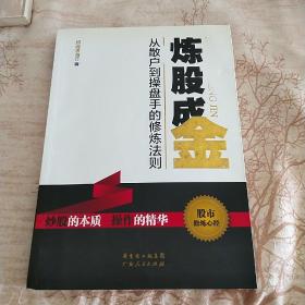 炼股成金：从散户到操盘手的修炼法则