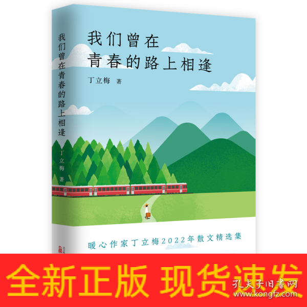 《我们曾在青春的路上相逢》暖心作家、中考语文热点作家 丁立梅  2022年散文精选集