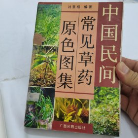 中国民间常见草药原色图集