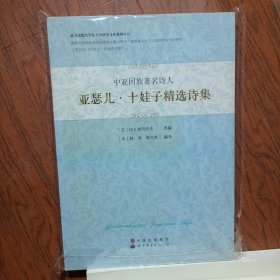亚瑟儿.十娃子精选诗集