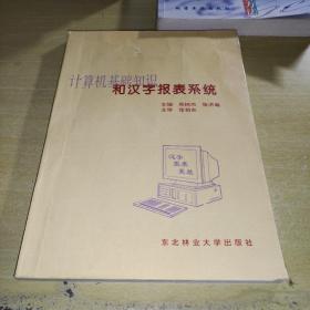 计算机基础知识和汉字报表系统