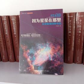 因为星星在那里：科学殿堂的砖与瓦