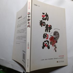 动和静的风