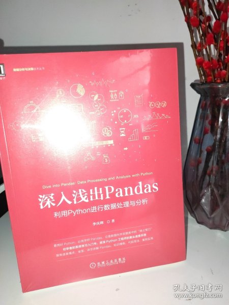 深入浅出Pandas：利用Python进行数据处理与分析