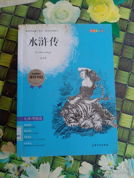 钟书图书·我最优阅·青少版彩插版·水浒传（第三辑） 