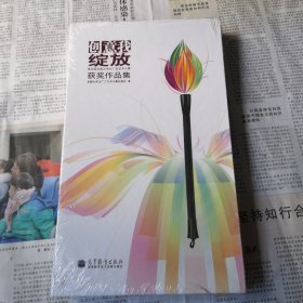 创意我绽放:第四届全国大学生广告艺术大赛获奖作品集