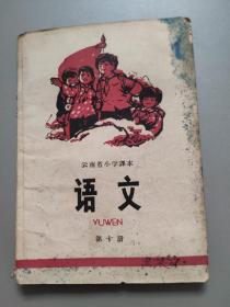 云南省小学课本——语文（第十册）
