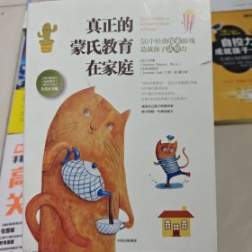 真正的蒙氏教育在家庭——50个经典探索游戏造就孩子认知力