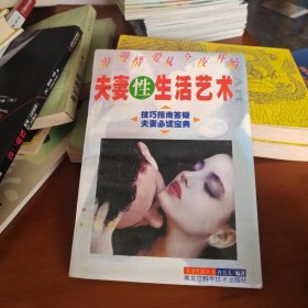 夫妻性生活艺术