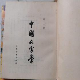 中国文字学