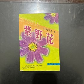 网络长篇小说 紫野花