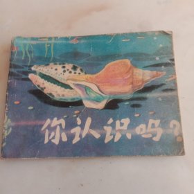 你认识吗？连环画