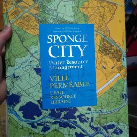 海绵城市 sponge city 英文版