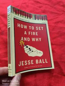 How to Set a Fire and Why