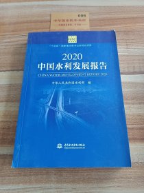 2020中国水利发展报告